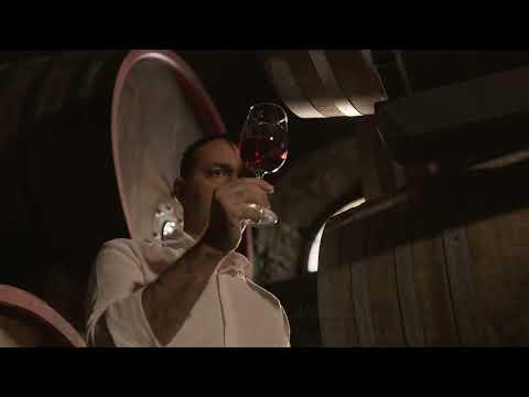 Bricco dei Guazzi - Our heart in Monferrato, our sights set on Piedmont